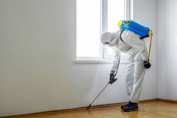 Best Mosquito Control Services  in Sylva, NC